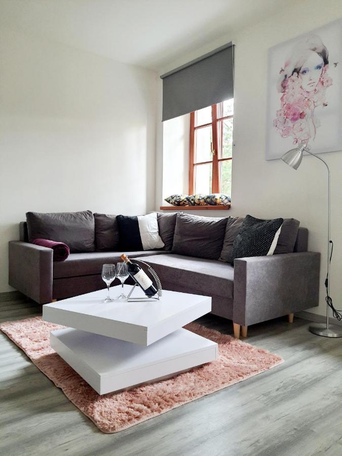 Apartman Spalovka Nový Bor Exterior foto